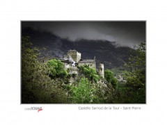 Castello Sarriod Tour