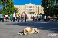 Piazza Syntagma (Atene)
