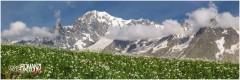 Primavera davanti al Monte Bianco (Courmayeur)