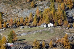 Alpeggio in autunno (Valtournenche)