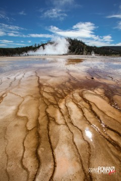 Yellowstone Grand Prismatic Spring