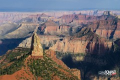 Il gigante silenzioso nel Grand Canyon North Rim