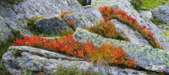 Primi colori d'autunno (Pontboset)