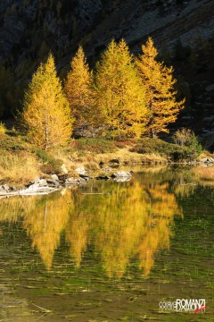 Riflessi d'autunno sul Lago d'Arpy (Morgex)