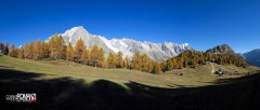 Monte Bianco e Grandes Jorasses dal Col Checrouit nella Val Veny (Courmayeur)